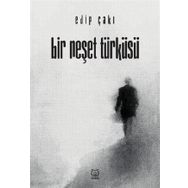 Bir Neşet Türküsü - Edip Çakı
