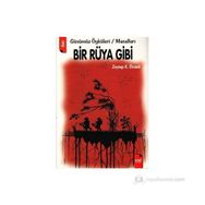 BIR RÜYA GIBI - ZEYNEP K. ÖZCANLI