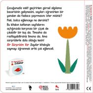 Bir Sürprizim Var Sayılar Masalperest