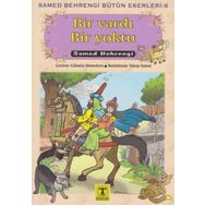 BIR VARDI BIR YOKTU - SAMED BAHRENGI