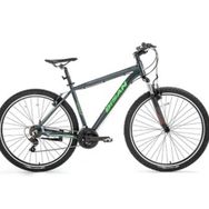 Bisan Atlas 48 cm V 29 Jant 21 Vites Parlak Gri Yeşil Erkek Dağ Bisikleti