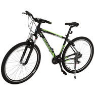Bisan MTX 7050 V 29 Jant 21 Vites 48 cm Kadro Siyah Yeşil Dağ Bisikleti