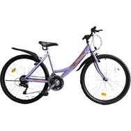 Bisan Sentiero V 24 Jant 21 Vites 44 cm Mor Beyaz Kadın Dağ Bisikleti