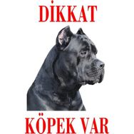 Bisepetim Renkli Cane Corso 2 Dikkat Köpek Var Uyarı Levhası