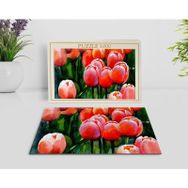 BK Home Yağlıboya Tasarımlı 1000 Parça Profesyonel 18 Puzzle