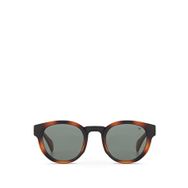 Blancia Milano BC 1290 C3 Oval Havana Unisex Güneş Gözlüğü