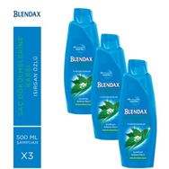 Blendax 500 mlx 3 Adet Şampuan
