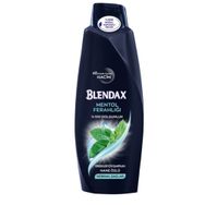 Blendax 6x500 ml Mentol Ferahlığı Erkek Şampuan