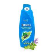 Blendax Bitki Özlü 550 ml Şampuan