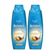 Blendax Canlandırıcı Ve Besleyici Bakım - Onarıcı Yağlar Argan Yağı 2x500 ml Şampuan