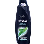 Blendax Erkekler Için Mentollü 3x500 ml Şampuan
