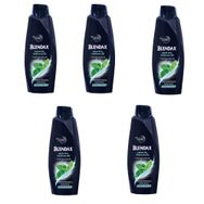 Blendax Erkekler İçin Mentollü 5x470 ml Şampuan