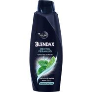 Blendax Erkekler İçin Mentollü 6x500 ml Şampuan