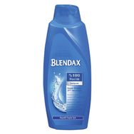 Blendax Erkeklere Özel Mentol 550 ml Şampuan