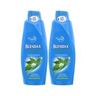Blendax Isırgan Özlü 2x550 ml Şampuan