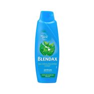 Blendax Isırgan Özlü 470 ml Şampuan