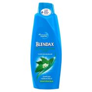 Blendax Isırgan Özlü 500 ml Şampuan