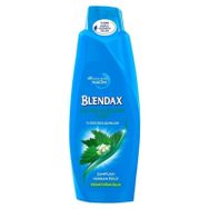 Blendax Isırgan Özlü 500 ml Şampuan