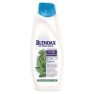 Blendax Isırgan Özlü 550 ml Saç Bakım Kremi
