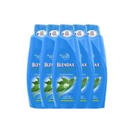 Blendax Isırgan Özlü 5x550 ml Şampuan