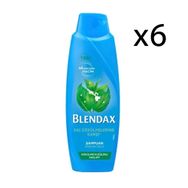Blendax Isırganlı 6x470 ml Şampuan