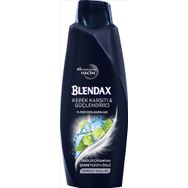 Blendax Men 500 ml Kepeğe Karşı Şampuan