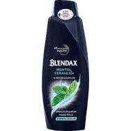 Blendax Normal Saçlar İçin 500 ml Dolgunlaştırıcı Mentollü Şampuan