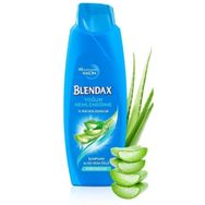 Blendax Yoğun Nemlendirme Aloe Vera 500 ml Şampuan
