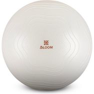 Bloom LB7051 55 cm Beyaz Pilates Topu