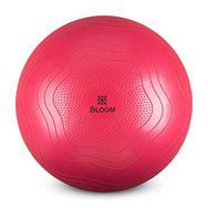 Bloom LB7051 55 cm Pembe Pilates Topu