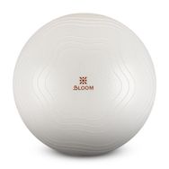 Bloom LB7051 65 cm Beyaz Pilates Topu