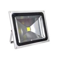 Bolled Gün Işığı 10 W Led Projektör