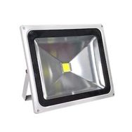 Bolled Gün Işığı 30 W Led Projektör