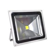 Bolled Gün Işığı 50 W Led Projektör