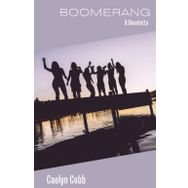 Boomerang - Michael Lewis