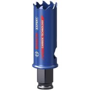 Bosch 2608900421 25 mm Expert Sert Malzemeler için Panç