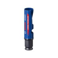 Bosch 2608900451 19 mm Yapı Malzemeleri için Panç