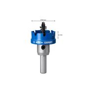 Bosch Expert Sheet 19 mm Metal Delik Açma Testeresi