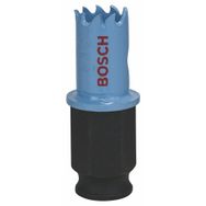 Bosch Saç Metal İçin 17 mm Delik Açma Testeresi Panç