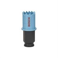 Bosch Saç Metal İçin 22 mm Delik Açma Testeresi Panç
