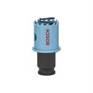 Bosch Saç Metal İçin 25 mm Delik Açma Testeresi Panç