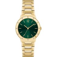 Boss Watches HB1502649 Altın Kadın Kol Saati