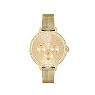 Boss Watches HB1502664 Altın Kadın Kol Saati
