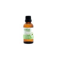 Botaniksan 50 ml Tere Tohumu Yağı