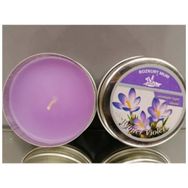 Bozkurt Winter Violet Kokulu 120 gr Teneke Mum