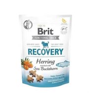 Brit 150 gr Recovery Ringa Balıklı Köpek Ödülü