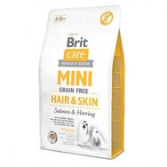 Brit Care 2 kg Mini Hair Skin Somon Balıklı Köpek Maması
