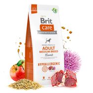 Brit Care Hypoallergenic Yetişkin Orta Irk 3 kg Köpek Kuru Maması