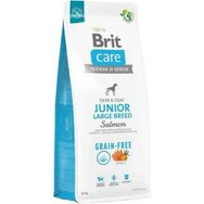 Brit Care Skin & Coat Tahılsız Büyük Irk 12 kg Yavru Köpek Maması
