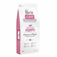 Brit Care Somonlu ve Patatesli Tahılsız Yavru 12 kg Köpek Maması